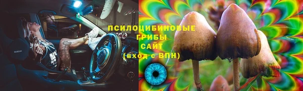 амф Алексеевка