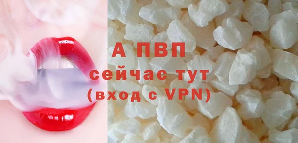 стафф Алексин