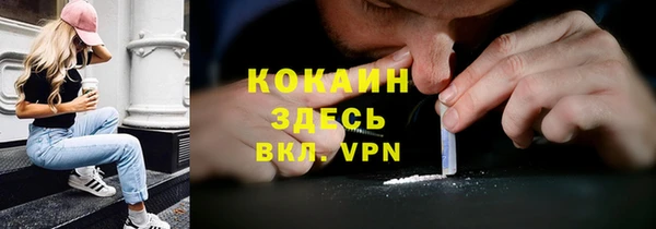 стафф Алексин