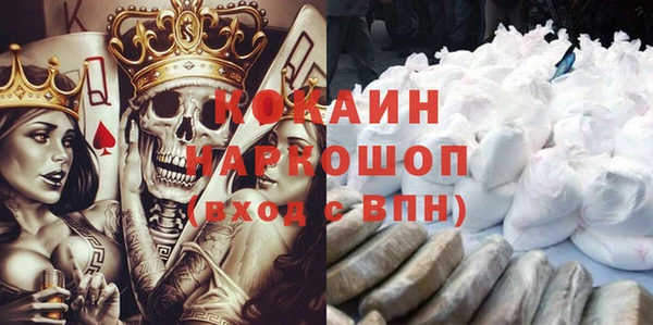 стафф Алексин