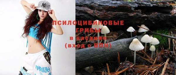 амф Алексеевка