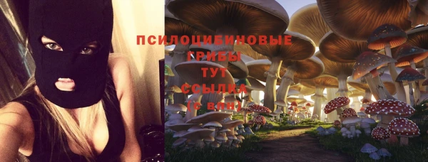 стафф Алексин