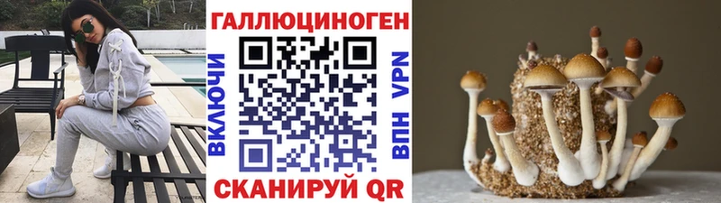 Псилоцибиновые грибы прущие грибы  Катайск 